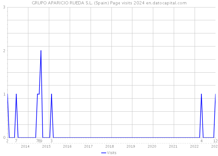 GRUPO APARICIO RUEDA S.L. (Spain) Page visits 2024 