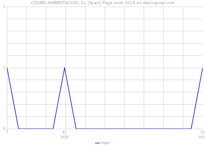 COLIBRI AMBIENTACION, S.L (Spain) Page visits 2024 
