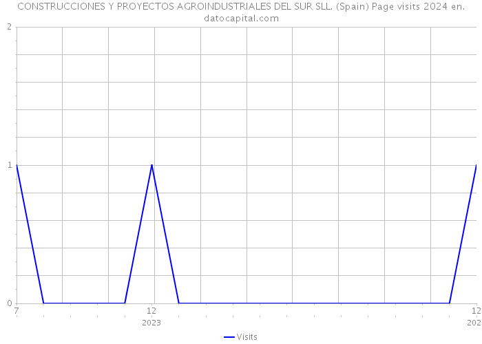 CONSTRUCCIONES Y PROYECTOS AGROINDUSTRIALES DEL SUR SLL. (Spain) Page visits 2024 