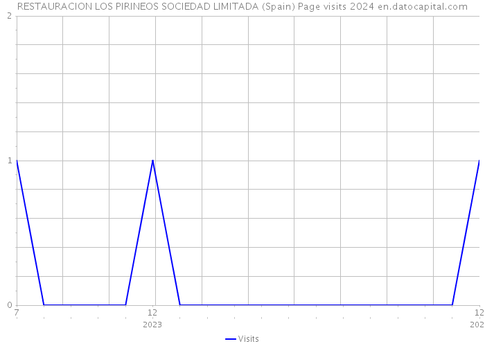 RESTAURACION LOS PIRINEOS SOCIEDAD LIMITADA (Spain) Page visits 2024 