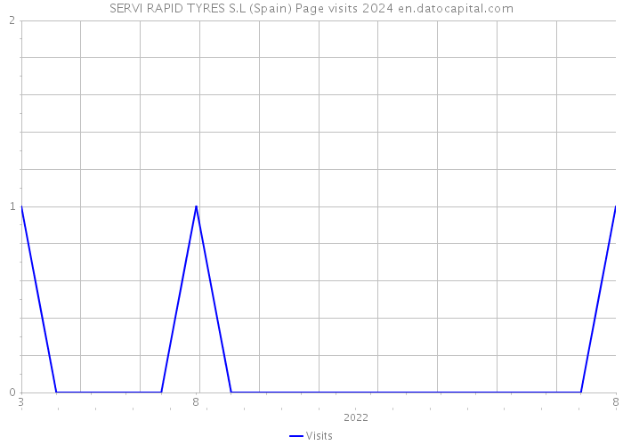 SERVI RAPID TYRES S.L (Spain) Page visits 2024 