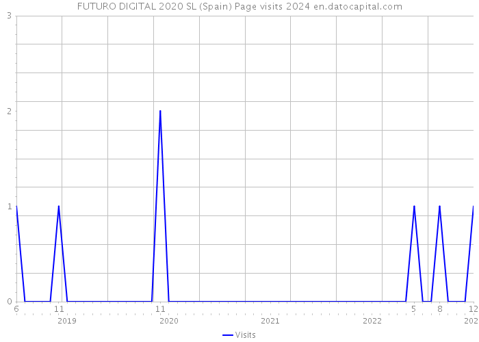 FUTURO DIGITAL 2020 SL (Spain) Page visits 2024 