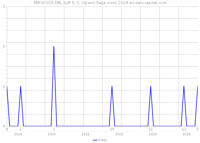 SERVICIOS DEL SUR S. C. (Spain) Page visits 2024 