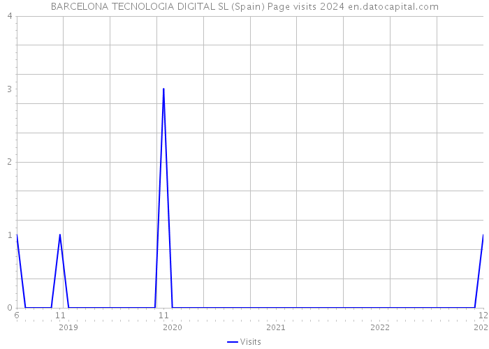 BARCELONA TECNOLOGIA DIGITAL SL (Spain) Page visits 2024 