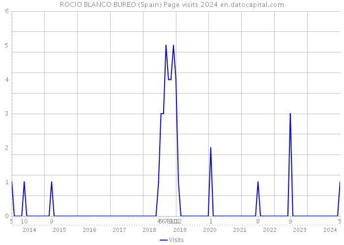 ROCIO BLANCO BUREO (Spain) Page visits 2024 