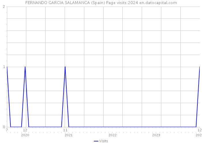 FERNANDO GARCIA SALAMANCA (Spain) Page visits 2024 