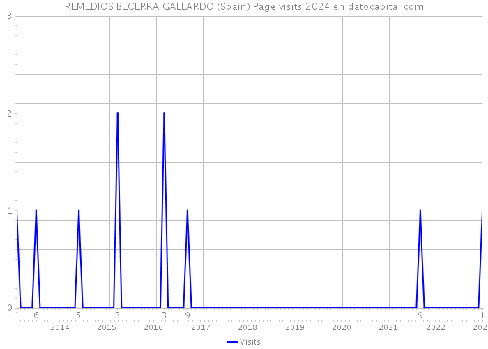 REMEDIOS BECERRA GALLARDO (Spain) Page visits 2024 