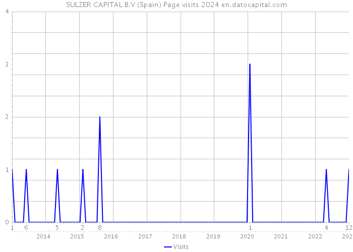 SULZER CAPITAL B.V (Spain) Page visits 2024 