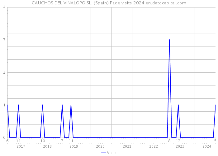 CAUCHOS DEL VINALOPO SL. (Spain) Page visits 2024 