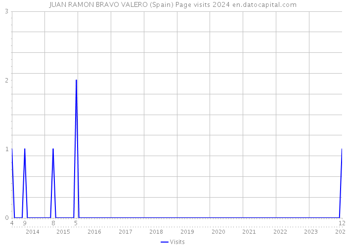 JUAN RAMON BRAVO VALERO (Spain) Page visits 2024 