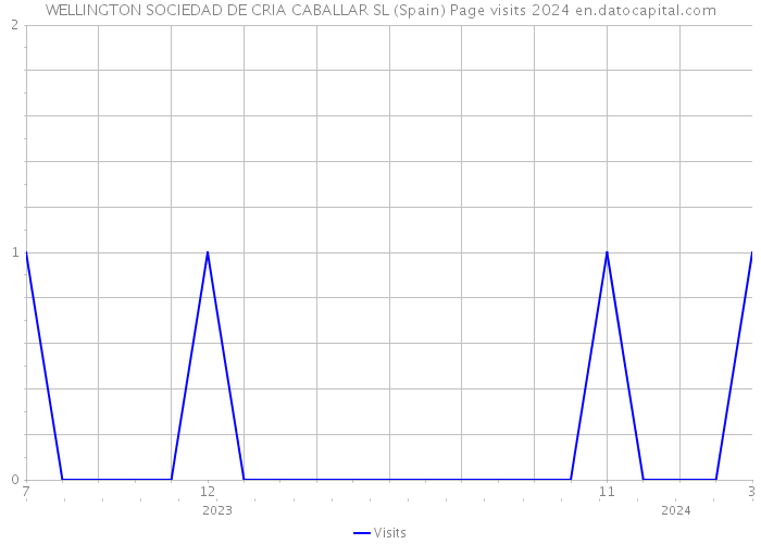 WELLINGTON SOCIEDAD DE CRIA CABALLAR SL (Spain) Page visits 2024 