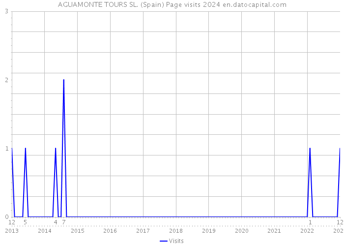 AGUAMONTE TOURS SL. (Spain) Page visits 2024 