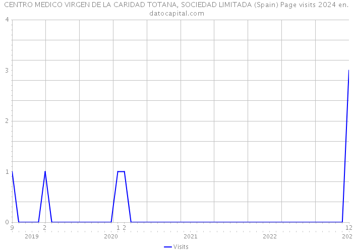 CENTRO MEDICO VIRGEN DE LA CARIDAD TOTANA, SOCIEDAD LIMITADA (Spain) Page visits 2024 
