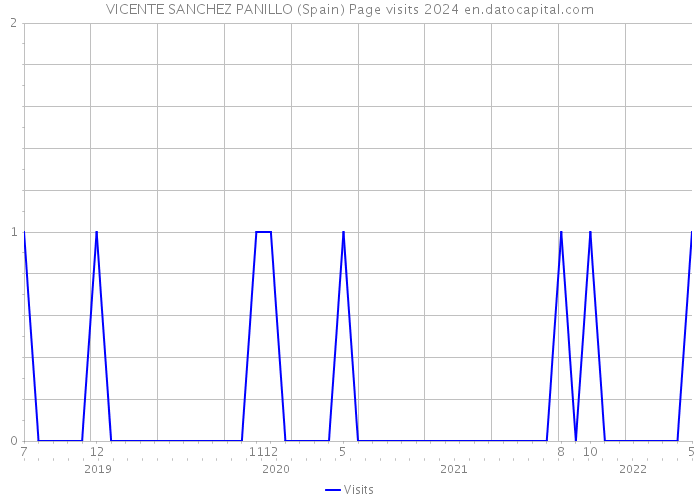 VICENTE SANCHEZ PANILLO (Spain) Page visits 2024 