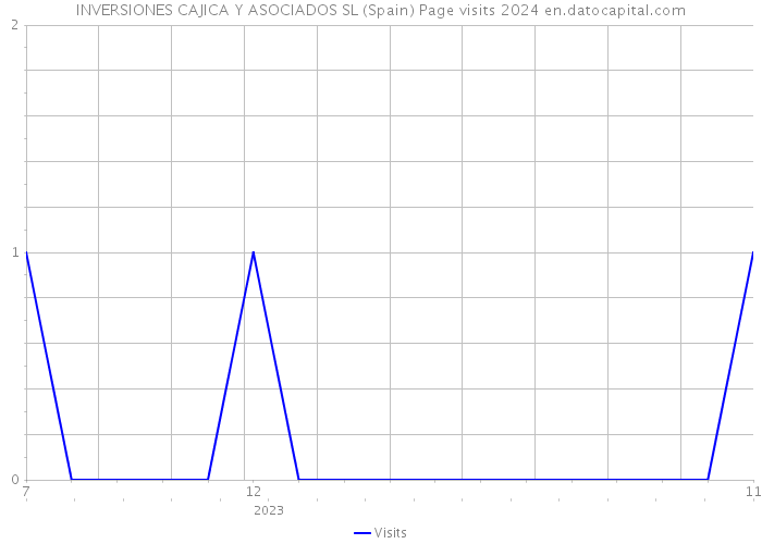 INVERSIONES CAJICA Y ASOCIADOS SL (Spain) Page visits 2024 