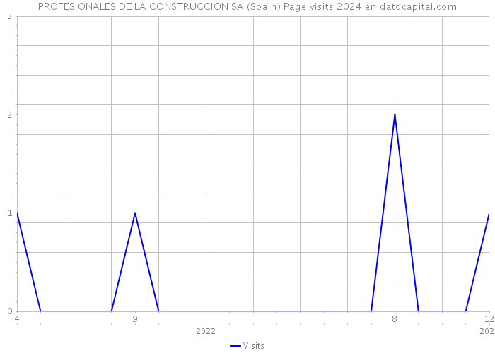 PROFESIONALES DE LA CONSTRUCCION SA (Spain) Page visits 2024 