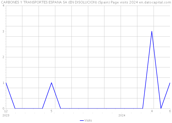 CARBONES Y TRANSPORTES ESPANA SA (EN DISOLUCION) (Spain) Page visits 2024 
