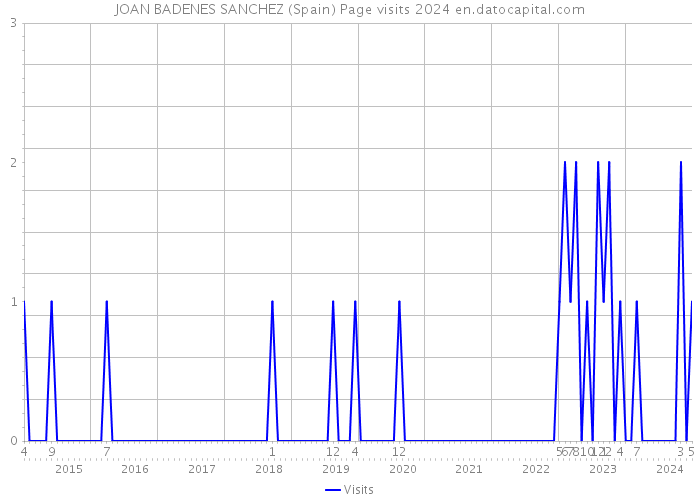 JOAN BADENES SANCHEZ (Spain) Page visits 2024 