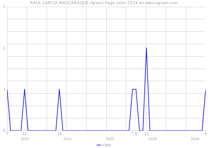 RAUL GARCIA MASCARAQUE (Spain) Page visits 2024 