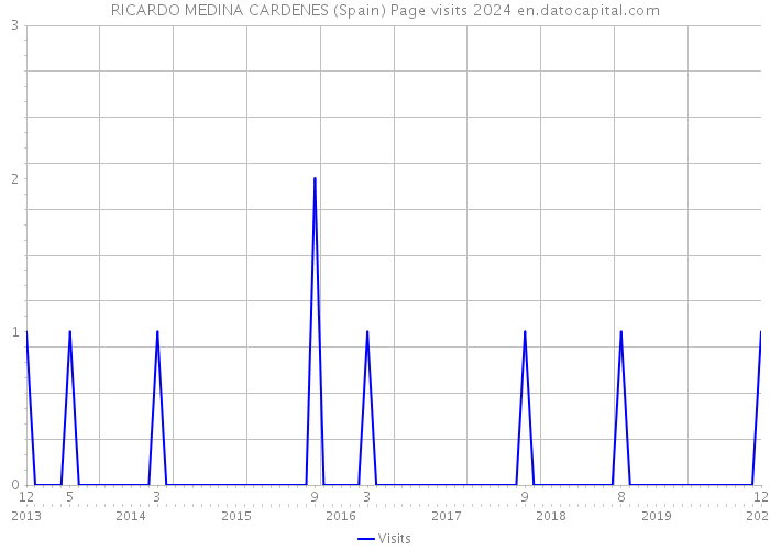 RICARDO MEDINA CARDENES (Spain) Page visits 2024 