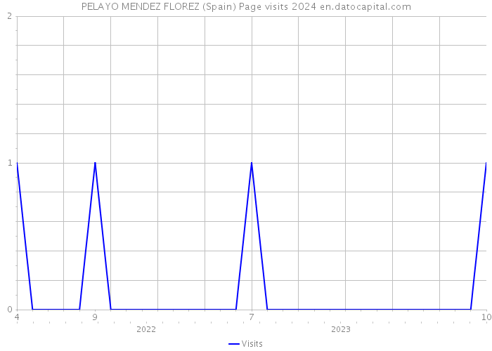 PELAYO MENDEZ FLOREZ (Spain) Page visits 2024 