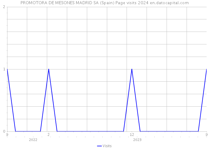 PROMOTORA DE MESONES MADRID SA (Spain) Page visits 2024 