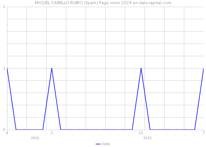 MIGUEL CABELLO RUBIO (Spain) Page visits 2024 