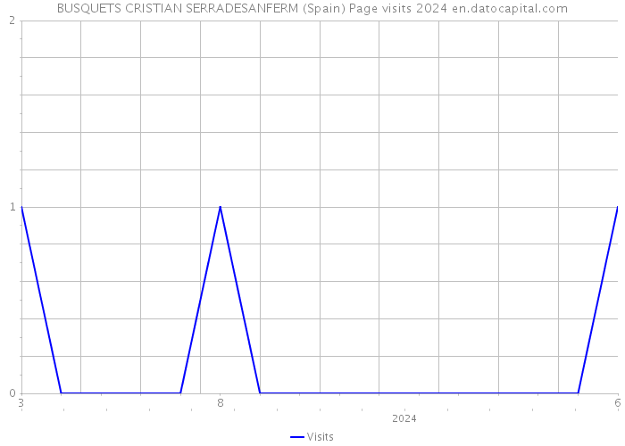 BUSQUETS CRISTIAN SERRADESANFERM (Spain) Page visits 2024 