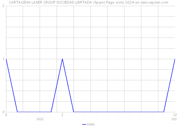 CARTAGENA LASER GROUP SOCIEDAD LIMITADA (Spain) Page visits 2024 
