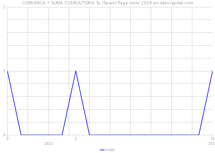 COMUNICA Y SUMA CONSULTORIA SL (Spain) Page visits 2024 