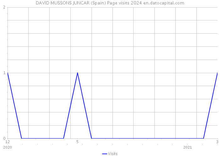 DAVID MUSSONS JUNCAR (Spain) Page visits 2024 