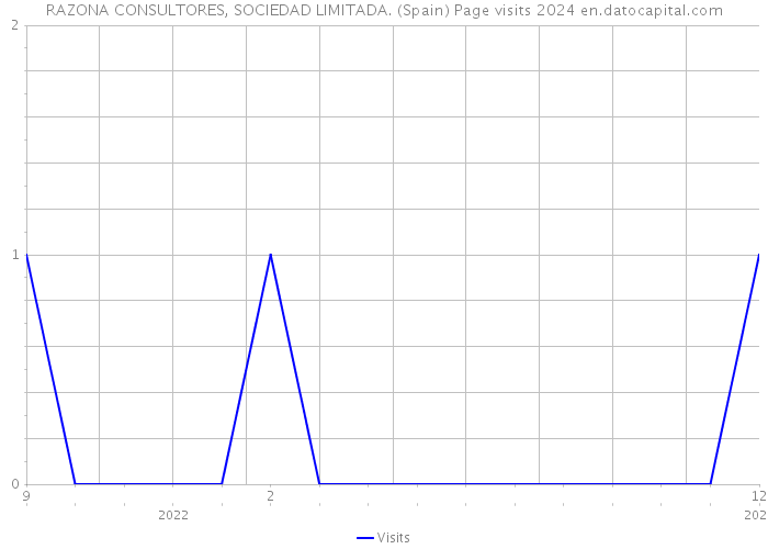 RAZONA CONSULTORES, SOCIEDAD LIMITADA. (Spain) Page visits 2024 