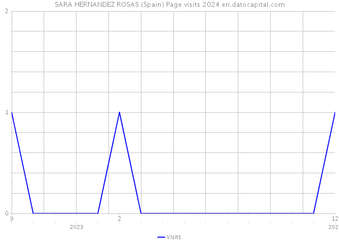 SARA HERNANDEZ ROSAS (Spain) Page visits 2024 