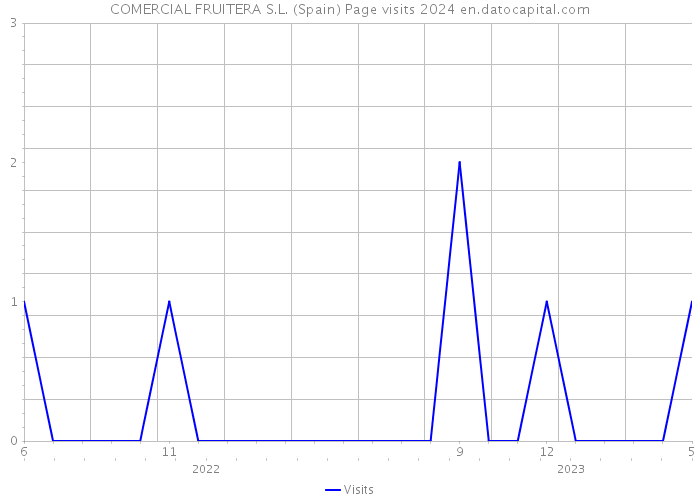 COMERCIAL FRUITERA S.L. (Spain) Page visits 2024 