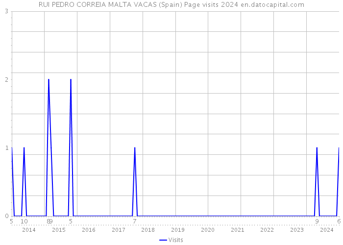 RUI PEDRO CORREIA MALTA VACAS (Spain) Page visits 2024 