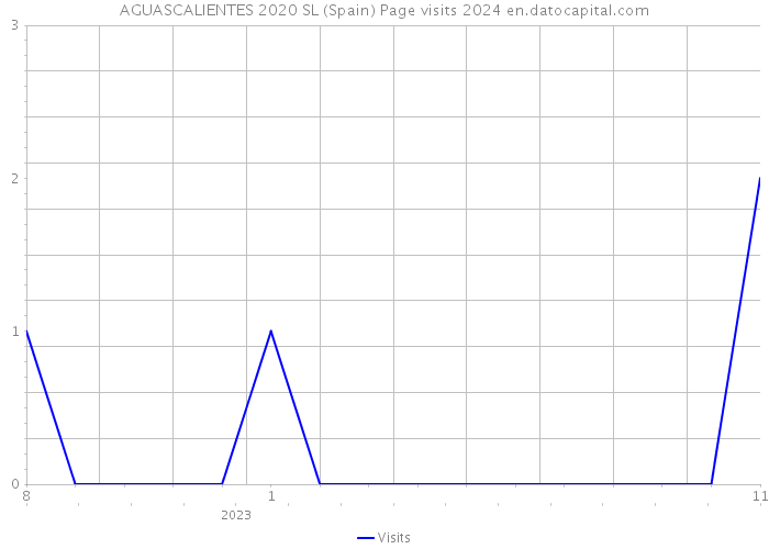 AGUASCALIENTES 2020 SL (Spain) Page visits 2024 