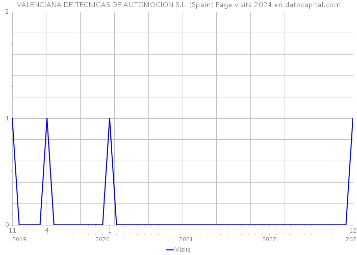 VALENCIANA DE TECNICAS DE AUTOMOCION S.L. (Spain) Page visits 2024 