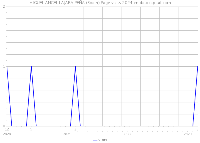MIGUEL ANGEL LAJARA PEÑA (Spain) Page visits 2024 