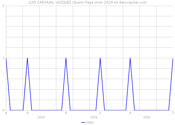 LUIS CARVAJAL VAZQUEZ (Spain) Page visits 2024 