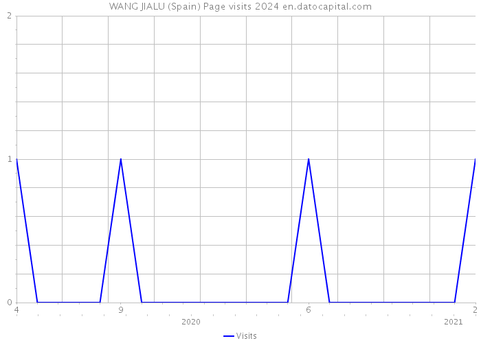 WANG JIALU (Spain) Page visits 2024 