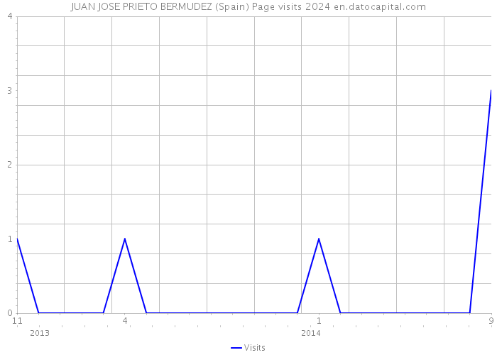 JUAN JOSE PRIETO BERMUDEZ (Spain) Page visits 2024 