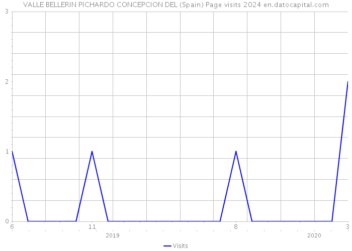 VALLE BELLERIN PICHARDO CONCEPCION DEL (Spain) Page visits 2024 