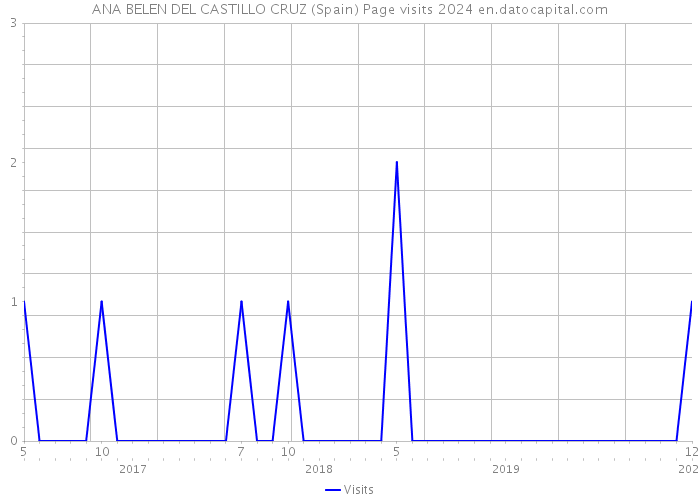 ANA BELEN DEL CASTILLO CRUZ (Spain) Page visits 2024 
