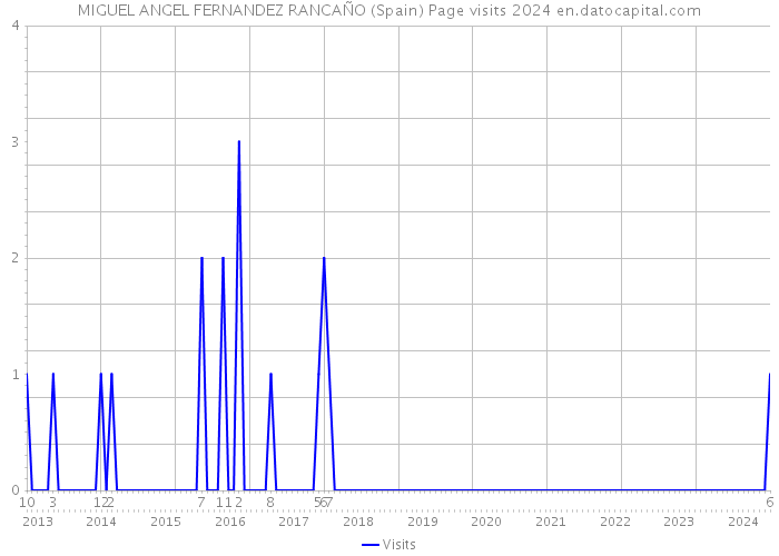 MIGUEL ANGEL FERNANDEZ RANCAÑO (Spain) Page visits 2024 