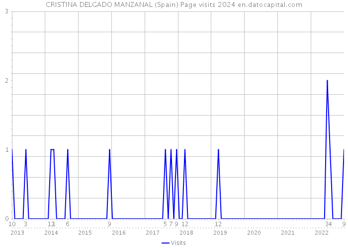 CRISTINA DELGADO MANZANAL (Spain) Page visits 2024 