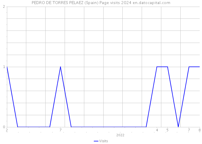 PEDRO DE TORRES PELAEZ (Spain) Page visits 2024 
