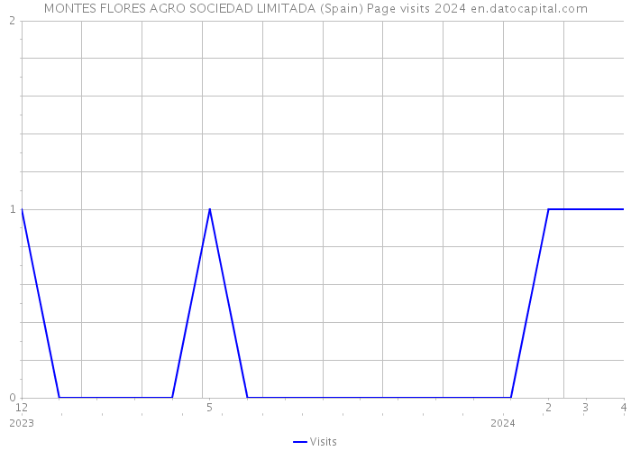 MONTES FLORES AGRO SOCIEDAD LIMITADA (Spain) Page visits 2024 