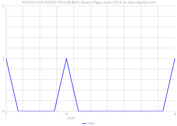 ASOCIACION RADIO-TAXI BILBAO (Spain) Page visits 2024 