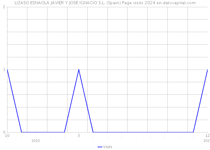 LIZASO ESNAOLA JAVIER Y JOSE IGNACIO S.L. (Spain) Page visits 2024 