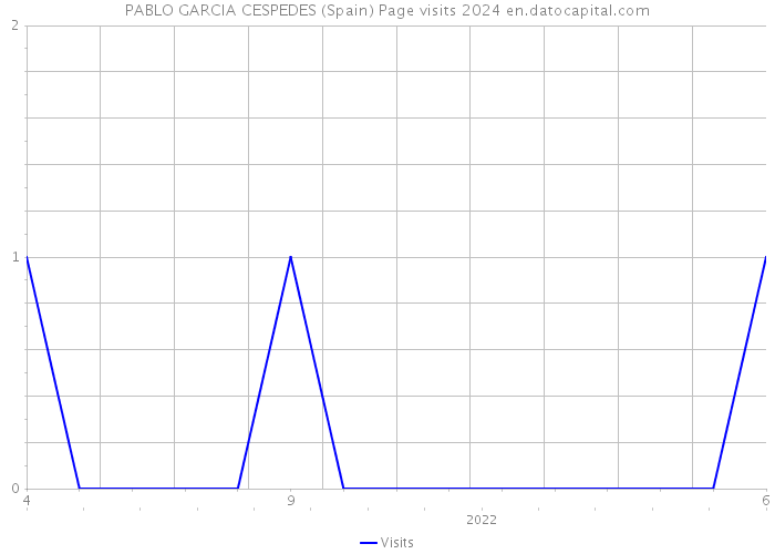 PABLO GARCIA CESPEDES (Spain) Page visits 2024 